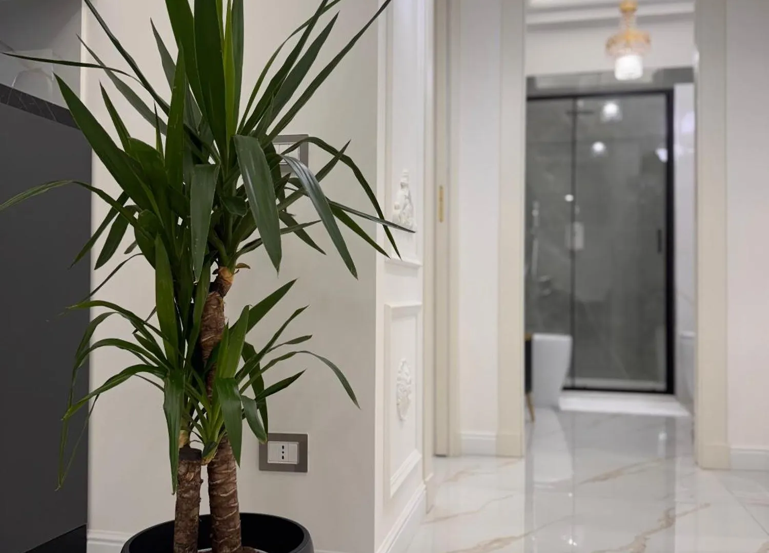 Ferdinando'S Home Naples